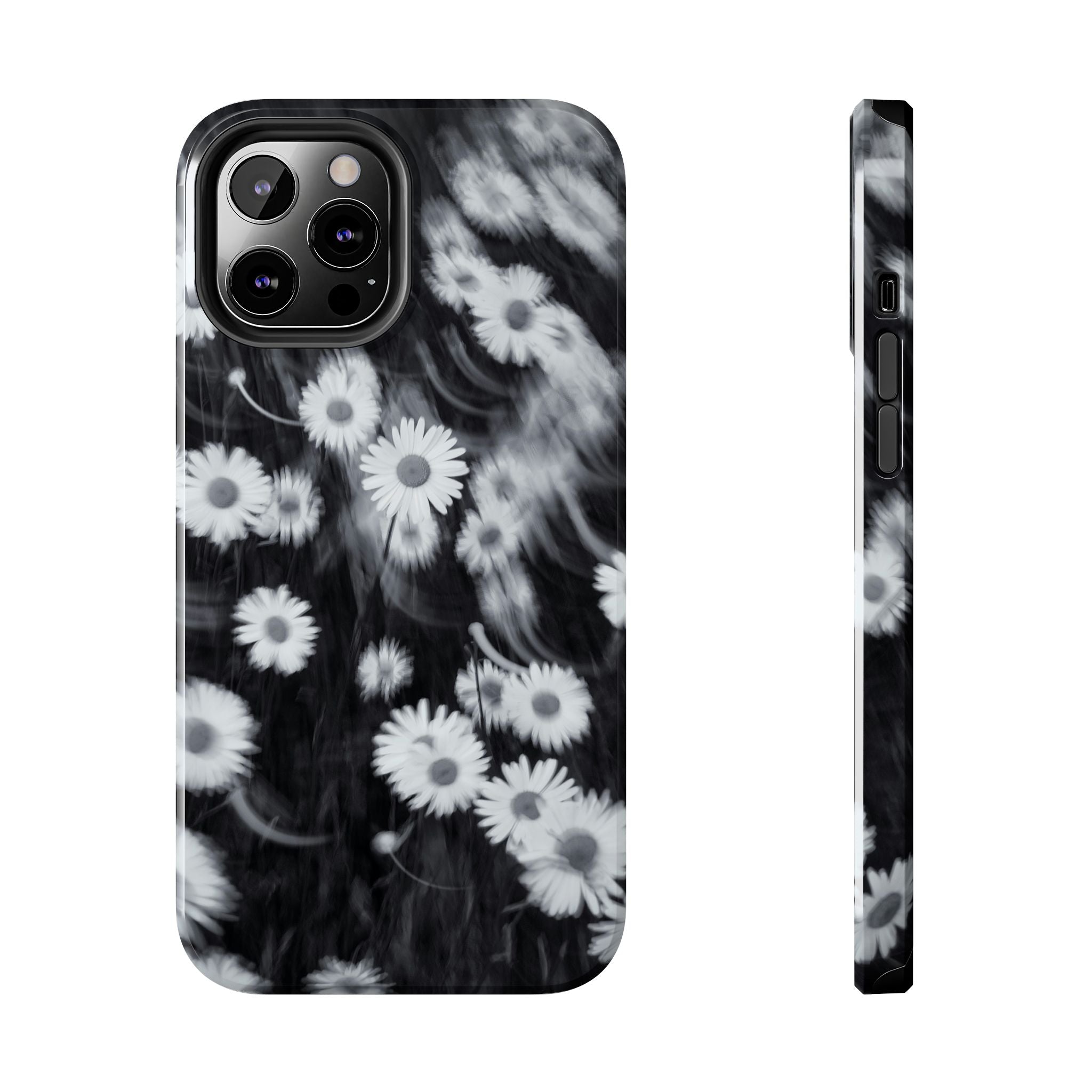 Black & White Daisies | DEVOR Exclusive